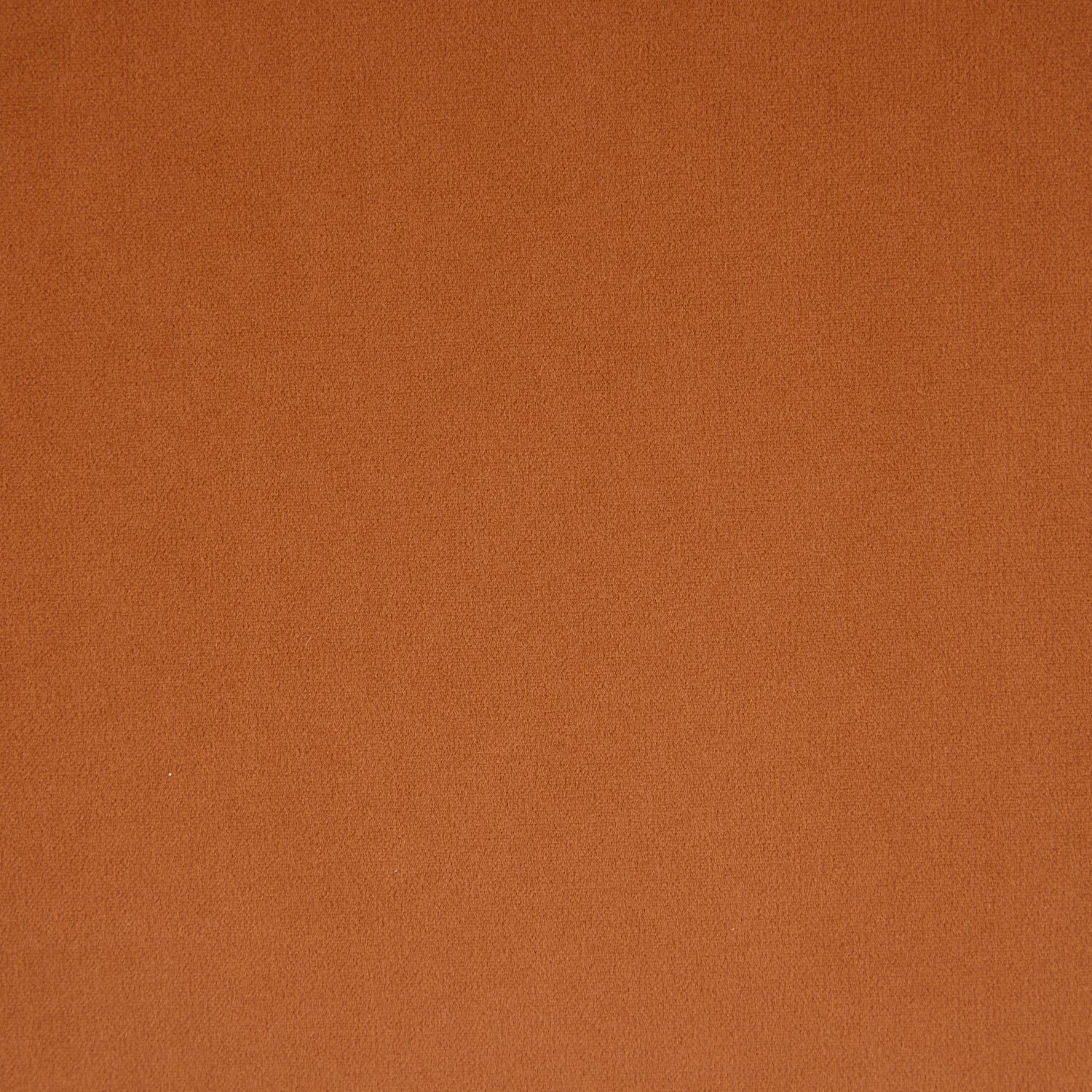 Valen Dining Chairs – Set of 2 | Rusty Orange