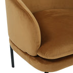 Close-up of a brown upholstered chair with a white background