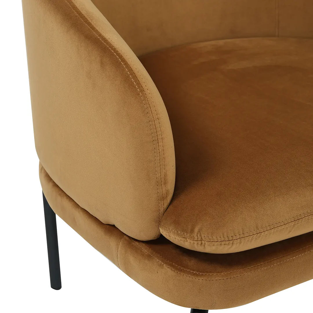 Close-up of a brown upholstered chair with a white background
